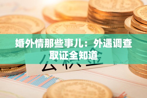 龙文婚外情那些事儿：外遇调查取证全知道
