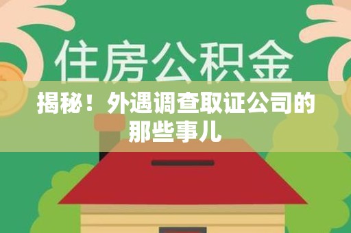 龙文揭秘！外遇调查取证公司的那些事儿