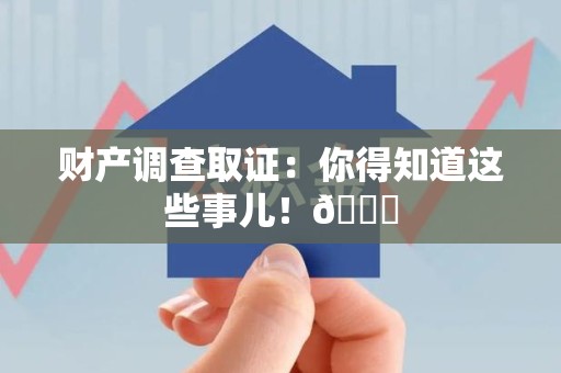 龙文财产调查取证：你得知道这些事儿！😎