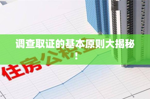 龙文调查取证的基本原则大揭秘！