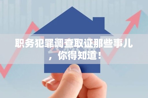 龙文职务犯罪调查取证那些事儿，你得知道！