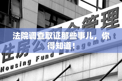 龙文法院调查取证那些事儿，你得知道！