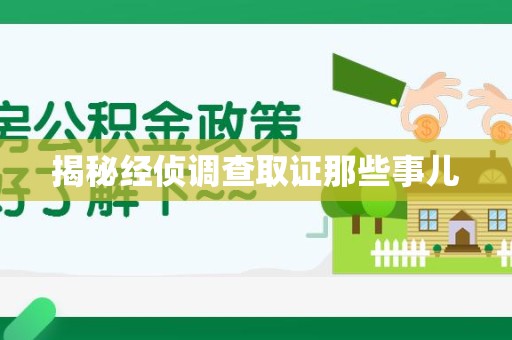 龙文揭秘经侦调查取证那些事儿