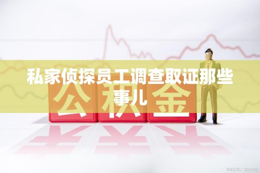 龙文私家侦探员工调查取证那些事儿