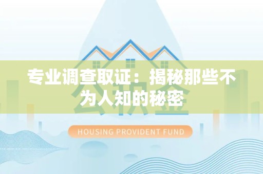 龙文专业调查取证：揭秘那些不为人知的秘密