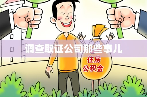 龙文调查取证公司那些事儿