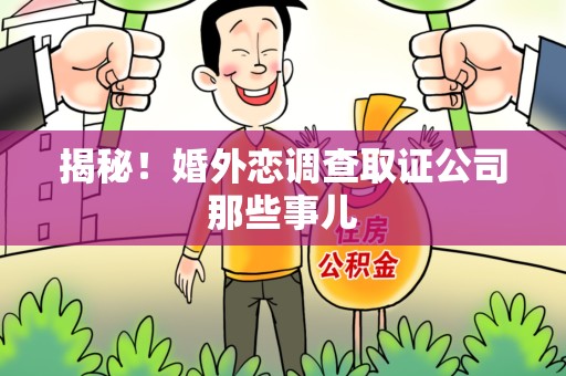龙文揭秘！婚外恋调查取证公司那些事儿