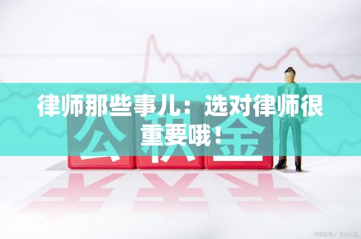 龙文律师那些事儿：选对律师很重要哦！