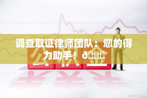 龙文调查取证律师团队：您的得力助手！😎