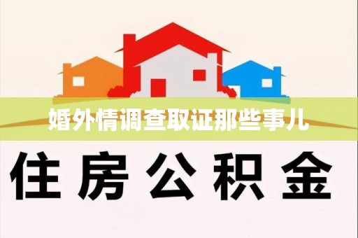 龙文婚外情调查取证那些事儿