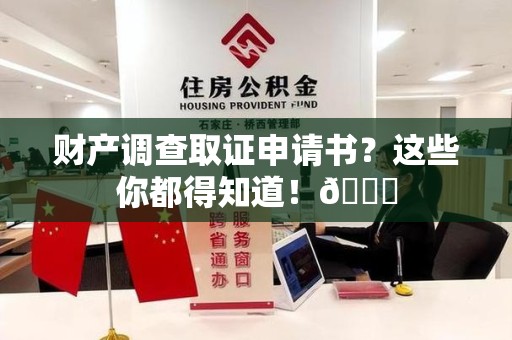 龙文财产调查取证申请书？这些你都得知道！😎