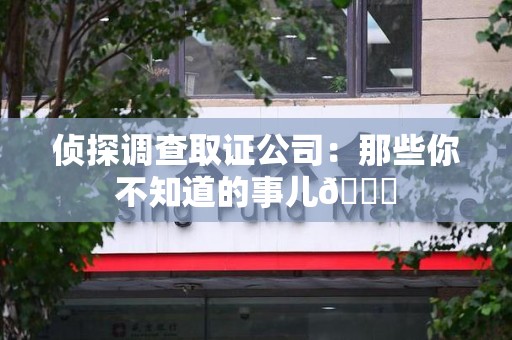 龙文侦探调查取证公司：那些你不知道的事儿😎