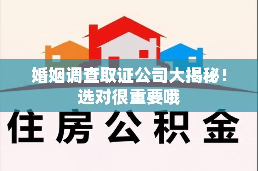 龙文婚姻调查取证公司大揭秘！选对很重要哦