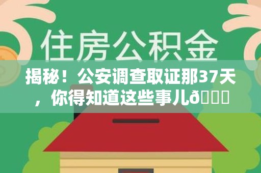 龙文揭秘！公安调查取证那37天，你得知道这些事儿😎