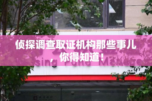 龙文侦探调查取证机构那些事儿，你得知道！