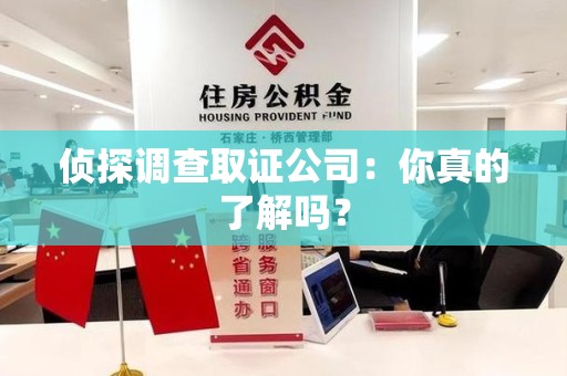 龙文侦探调查取证公司：你真的了解吗？