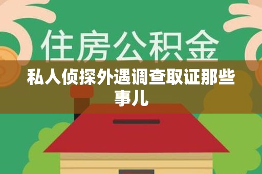 龙文私人侦探外遇调查取证那些事儿