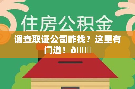 龙文调查取证公司咋找？这里有门道！😎