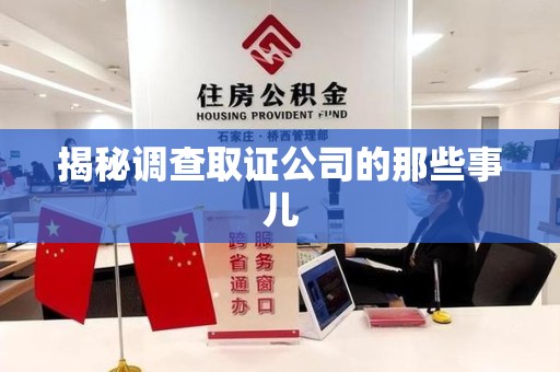 龙文揭秘调查取证公司的那些事儿