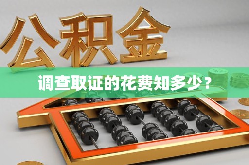 龙文调查取证的花费知多少？
