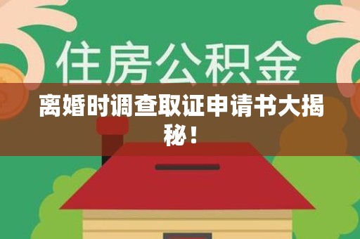 龙文离婚时调查取证申请书大揭秘！