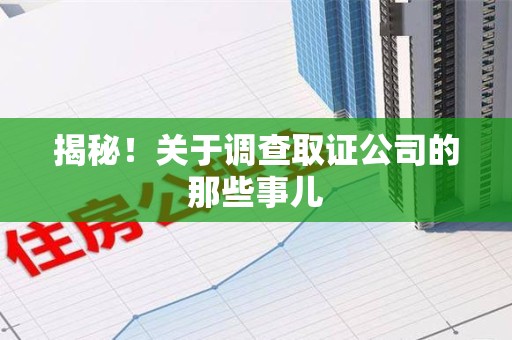 龙文揭秘！关于调查取证公司的那些事儿